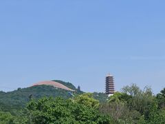 -牛首山文化旅游区