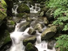 -青峰峡国家森林公园