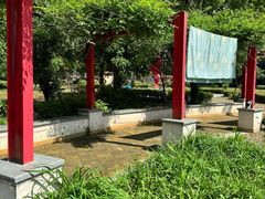 -嘉定紫藤园