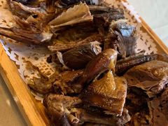 -食家鸽园