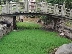 -深圳国际园林花卉博览园