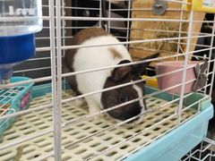 -UltraForce超源健身私教工作室(长楹天街精品店)