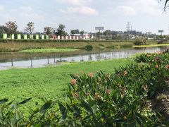 -那考河湿地公园
