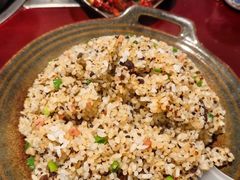 -蘑统田下·野生菌火锅