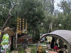 景观位-十亩森林