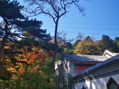 -阳台山自然风景区