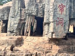 -东莞香市动物园