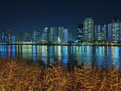 -江心屿景区