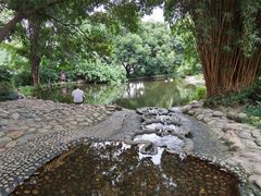 -成都市活水公园