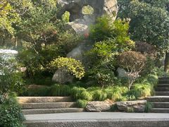 -杭州半山国家森林公园