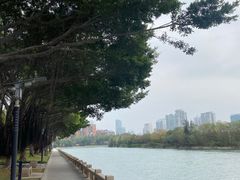-白鹭洲公园