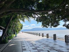 -深圳湾公园(南山区)