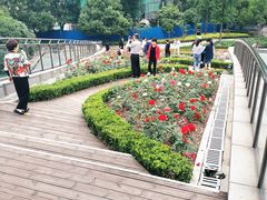 -北外滩滨江绿地