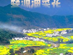 -婺源风景区
