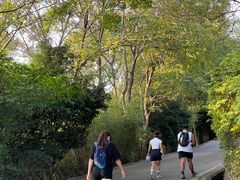 -南京市江宁方山