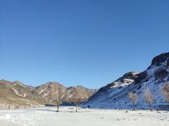 -新疆天山野生动物园