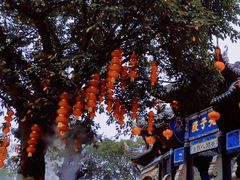-丰都鬼城名山景区