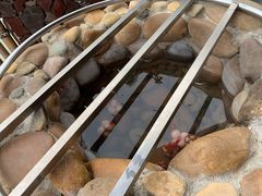 -水底山庄园温泉