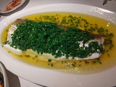 葱油蒸白水鱼-玫瑰厅上海菜(兴国路店)