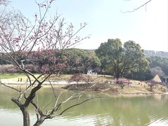 -无锡梅园公园