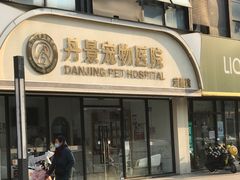 -丹景宠物医院·全科·老年病·牙科(武昌诊疗中心)
