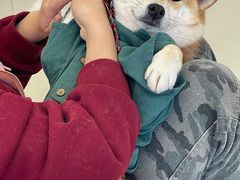 -怪兽屋·羊驼·猫咖·狗咖(俊华广场店)