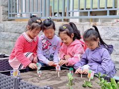 -贝美蓝天幼儿园(河东直沽园)