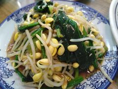凉拌黄豆芽-壹阁胡羊焖饼(特色小吃街店)