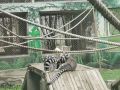 -西安秦岭野生动物园