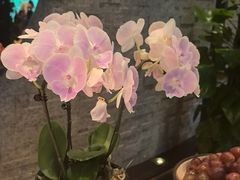 -新天世纪中餐厅