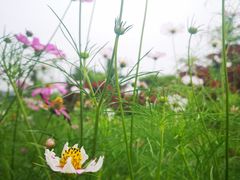 -汇泉广场