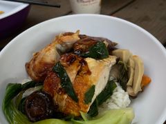 -Tangled Tree Tavern 老藤树食栈