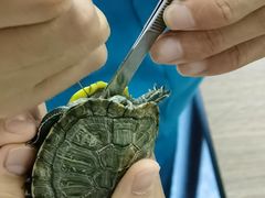 -天津前进宠物医院(前进道店)