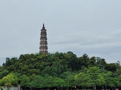 -顺峰山公园