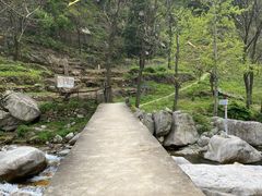 -终南山国家森林公园