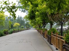 -白洋淀景区