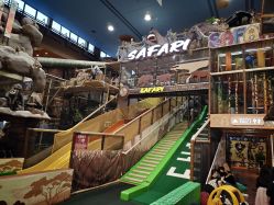 -卡通尼·Safari非洲探索乐园·生日会(金桥国际商业广场店)