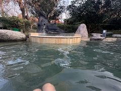 -思念果岭悦温泉