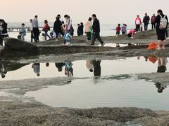 -日照灯塔风景区