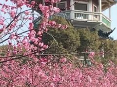 -无锡梅园公园