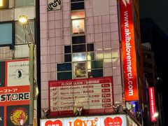 -秋叶原电器街