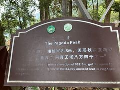 -缙云山景区