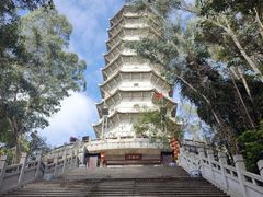 -深圳国际园林花卉博览园