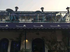 -Sirena海妖日咖夜酒