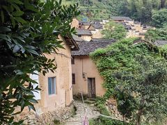 -杨家堂村