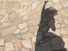 -黄村公园