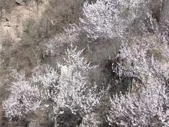 -狼牙山风景区