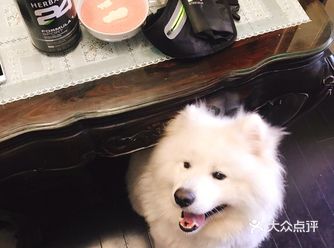 最后秀下腹肌证明下自己还差得远。还要继续减脂