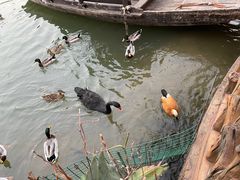 -长鹿旅游休博园