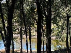 -泰山风景名胜区-普照寺